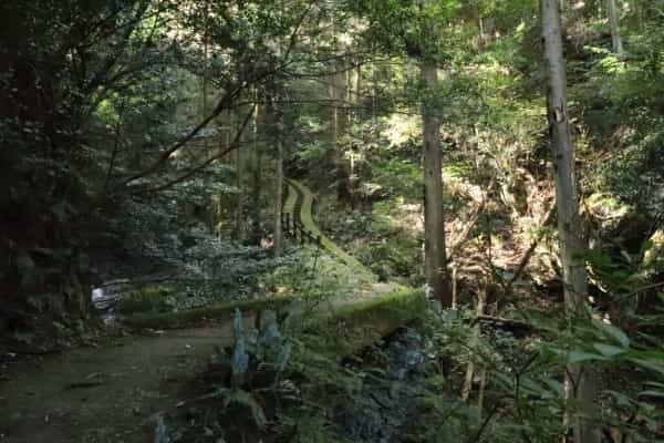 お遍路だけじゃない山の楽しみ｜徳島の魅力を再発見