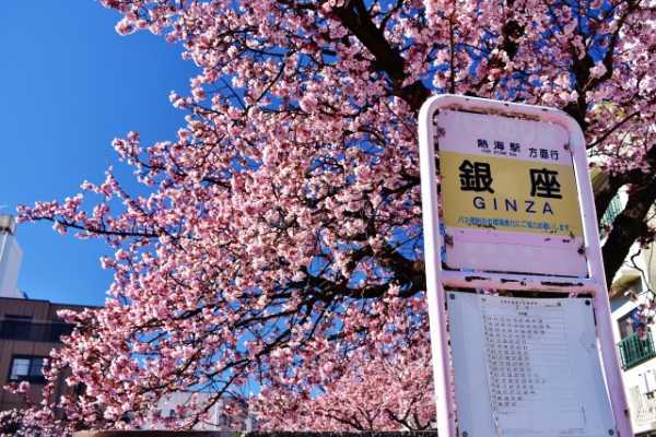 自慢の露天風呂を満喫、熱海の日帰り温泉人気10選。駅近で充実の一日を過ごそう