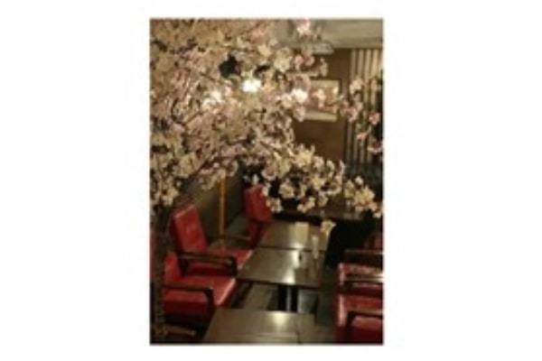 新宿駅近の隠れ家ダイニングで「屋内花見」、「Divano Wine Dining」でキャンペーン