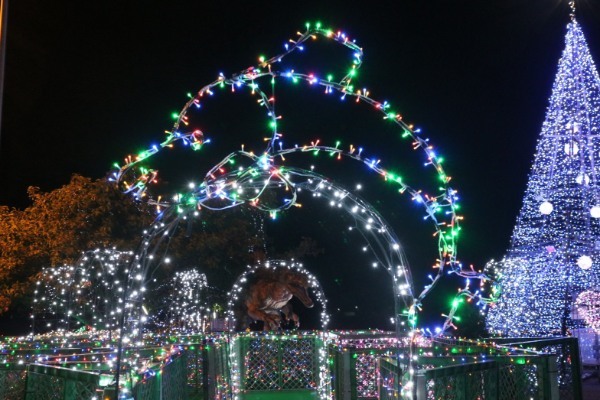 1人きりのクリスマスイブ確定したから御所浦まで旅に出た。