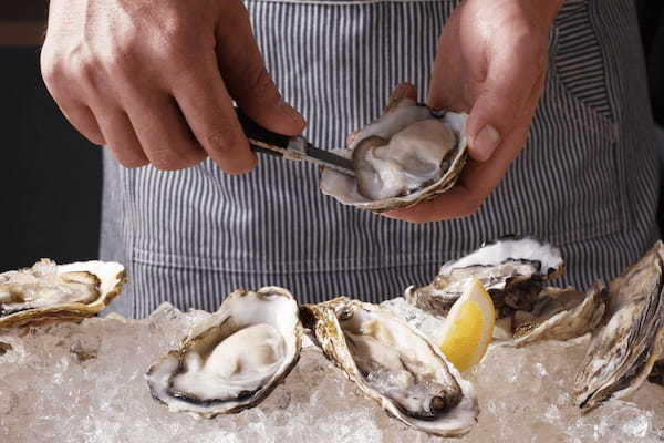 『オイスターバーの圧倒的コスパの贅沢魚貝尽くし』その日届いた「超新鮮な産直生牡蠣」と今が一番美味しい「旬の海の恵み」を食べ尽くす、オイスターバー&魚イタリアンの贅沢パーティープランが京橋ロビンに登場!