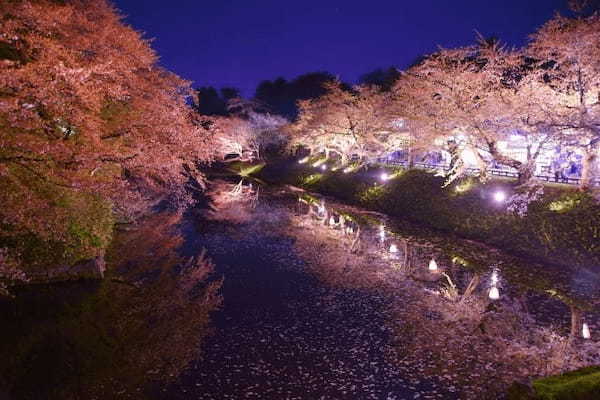 夜桜の名所「日本三大夜桜」と、古くからの桜の名所「日本三大桜の名所」をご紹介