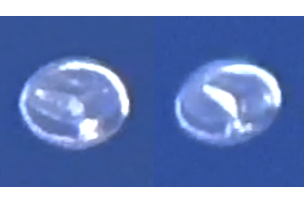 謎の「クラゲ型UFO」が同時多発? UFO専門家が捉えた衝撃の映像と“不可解な現象”の画像1