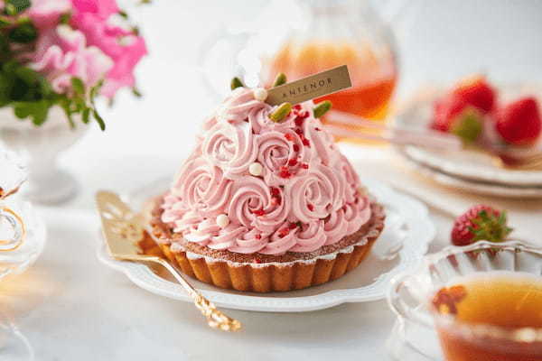 春のお祝いにぴったり！【アンテノール】華やかな苺タルトがお取り寄せ限定で新発売。信州苺を使用したシェフこだわりの味わいをお届けします。