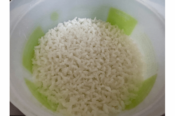 スケーター ご飯メーカー炊きたて