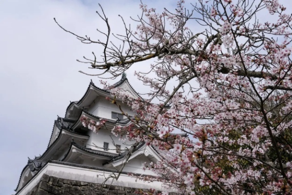 忍者と酒、人が優しい伊賀へ旅をしたら想像以上にリフレッシュ。伊賀の魅力に骨抜かれた。