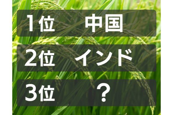 米の生産量が世界で3番目に多い国はどこ？（2019年）【ランキング vol.237】