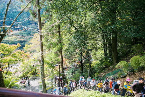 高尾山の登山ルートガイド！コースタイムや距離、登る際のポイントまで解説！