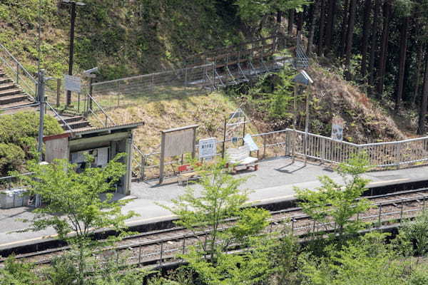 【連載】SLに乗って絶景旅！静岡大井川鐵道の魅力を紹介