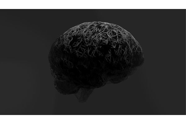 死の瞬間、私たちの脳は何を見ているのか?科学が解き明かした“脳が見せる最後の光景”の画像2