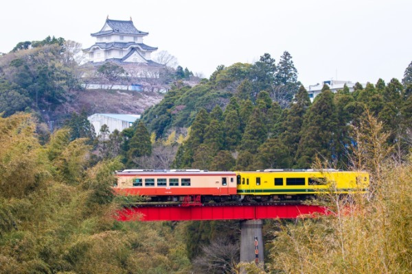 【連載】旅行好きと行く！菜の花の絨毯が広がるローカル線いすみ鉄道の旅