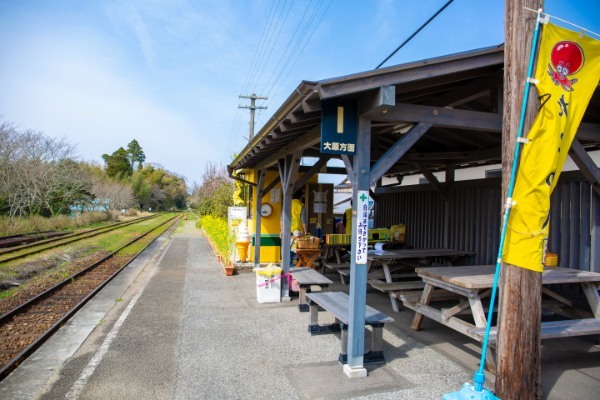 【連載】旅行好きと行く！菜の花の絨毯が広がるローカル線いすみ鉄道の旅