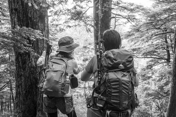 高尾山の登山ルートガイド！コースタイムや距離、登る際のポイントまで解説！