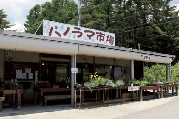 ソロでバイクで行ってきた！ 涼しさ際立つ夏の高原キャンプとは？