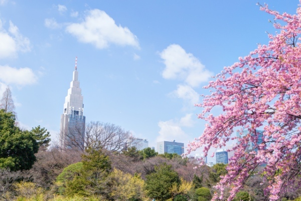 東京開花！ 都内おすすめ花見スポット6選＆宴会情報もあわせてチェック！