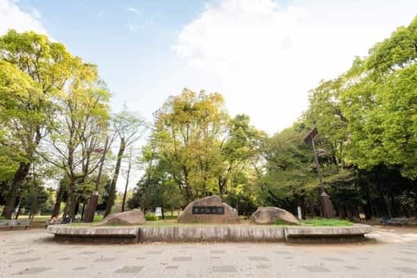 4大ターミナル駅へ乗り換えなし！  有楽町線・副都心線エリア（小竹向原・氷川台・平和台・地下鉄赤塚）が今後も安定需要の理由｜まちの住みやすさ発見