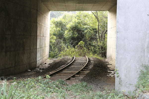 かつて新車は線路の上を走ってきた…！？ 日本の線路を実際に走っていた車を運ぶ鉄道とは