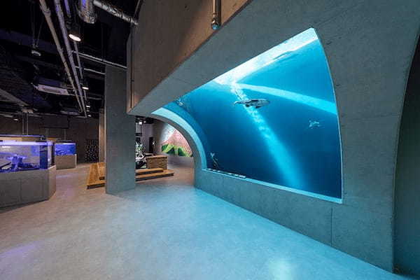 アートとアクアリウムが融合！次世代水族館「アトア」が神戸に誕生