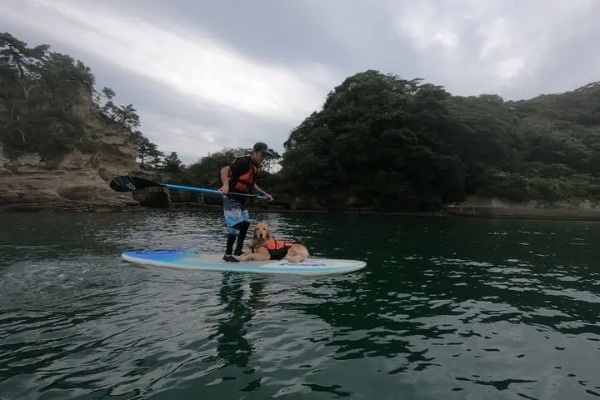 千葉の海でSUPを楽しもう！初心者におすすめのスポット・体験ツアー特集！