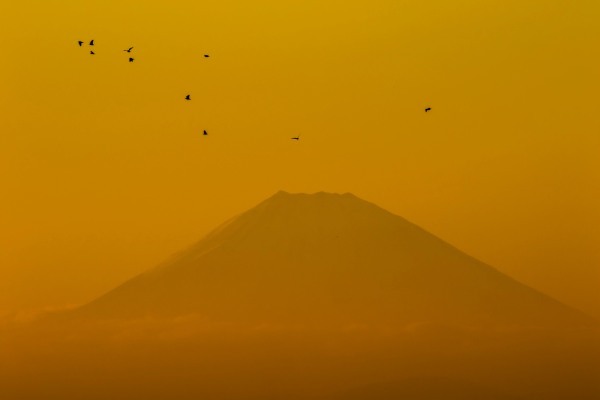 【連載】富士山をきれいに見るならここ！おすすめ絶景スポット4選