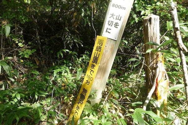 【Vol.67 雨飾山】秋の紅葉が広がる雨飾山に登ってきた！／バン旅百名山