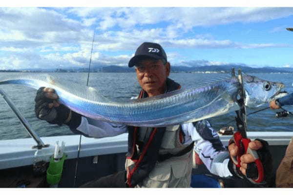 今週の『船釣り情報』特選釣果　全国各地で夏タチウオ釣りが開幕