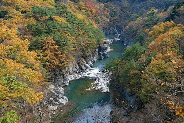 栃木県の川遊びスポットおすすめ3選！とにかく水が綺麗で子ども連れに最適！