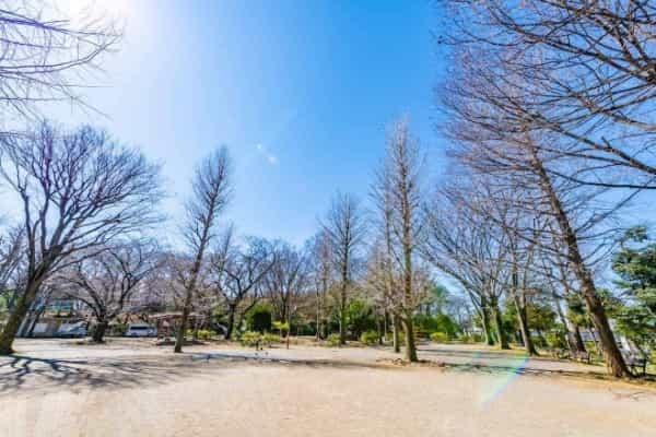 4大ターミナル駅へ乗り換えなし！  有楽町線・副都心線エリア（小竹向原・氷川台・平和台・地下鉄赤塚）が今後も安定需要の理由｜まちの住みやすさ発見