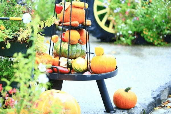 かぼちゃを英語で「パンプキン（pumpkin）」というのは間違い！？かぼちゃの種類と名前の由来などを解説