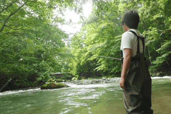 【バス旅】十和田湖のアクティビティ&観光ガイド！カヌー&散策で奥入瀬渓流を満喫！