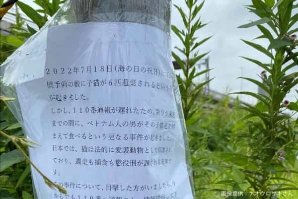 河川敷で遭遇した差別、酷すぎる内容に目を疑う…　突如現れた「5文字」に怒りの声