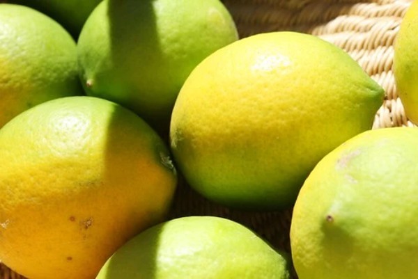 レモンの栄養価と効果情報まとめ！ビタミンC以外にも健康・美肌に◎な成分あり！