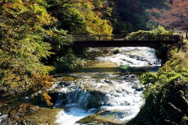 32,700平米（約1万坪）広大な大自然をベースにしたグランピングリゾート施設「brilliant-village Nikko」、日光市に2023年2月オープンへ