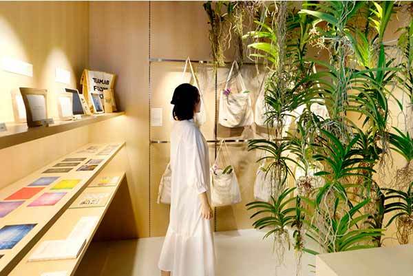 チームラボプラネッツ（東京・豊洲）に、京都発のヴィーガンラーメン店が本日10月8日オープン。新たなアート空間、作品で使用したランを持ち帰ることができる花屋も新設。