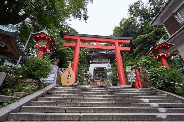 神奈川の初詣におすすめの神社・お寺5選！パワースポットや空いてる場所も紹介！