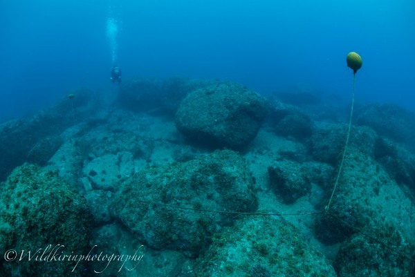 西伊豆・雲見のセルフダイビングコースと見どころ-壮大な地形を豊富なコース取りで楽しむ-