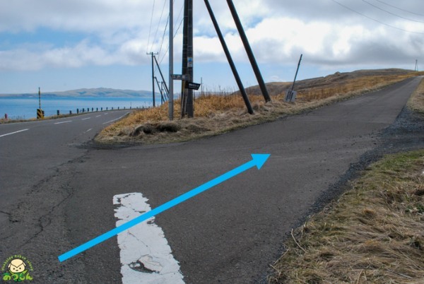 絶景の連続!北海道・礼文島でトレッキングを楽しもう~岬めぐりコース編~
