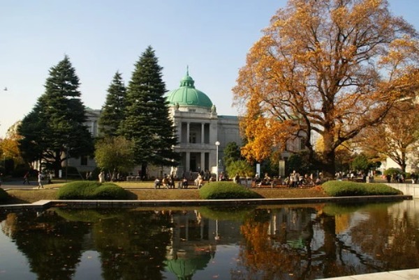 黄色い絶景に秋を感じる、上野公園の紅葉スポットをご紹介！見頃や見どころも解説！