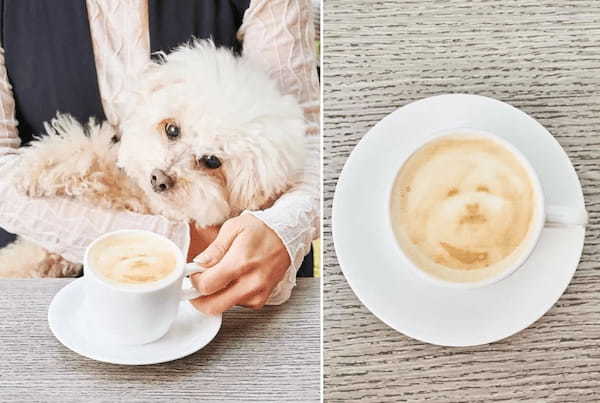 平日テラス限定!愛犬の写真がプリントされたカフェラテ付「ドッグウェルカムプラン」が新登場