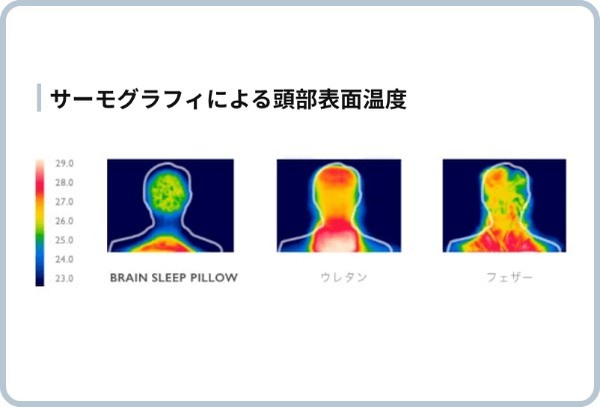 脳が眠る枕⁈ブレインスリープピローの口コミ・評判を徹底調査!