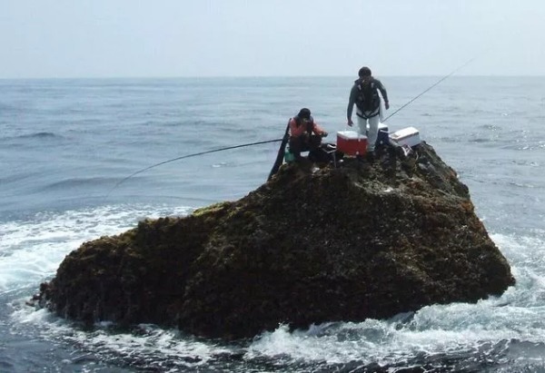 釣り初心者への入門ガイド！気になる初めての疑問を解消しよう