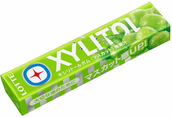 噛み始めからマスカットの香りが広がる「キシリトールガム〈マスカット〉」/ 期間限定で7+1種類に!「キシリトールガム 7種アソートボトル」 2023年3月28日(火)新発売