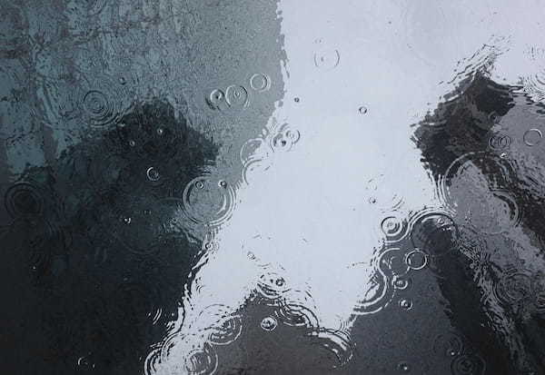 梅雨にはなぜ「梅」の字が入っているの?梅雨の意味や名称に関する豆知識を解説