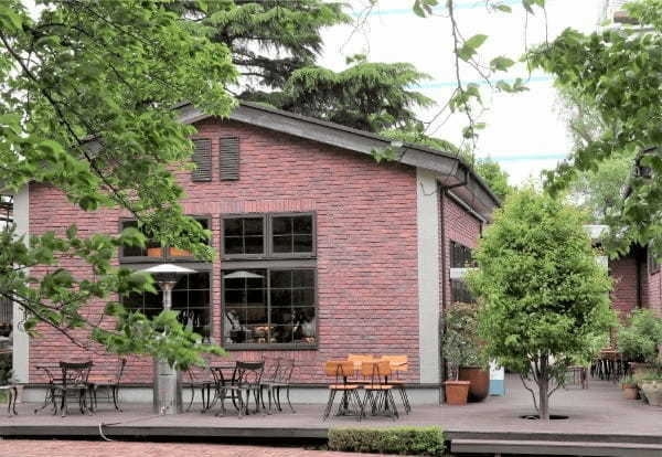 【プラントベースの1110 CAFE / BAKERY】桜色の期間限定商品が登場！／桜の下で、彩り豊かなBEETSを、心地の良いBeatとともに