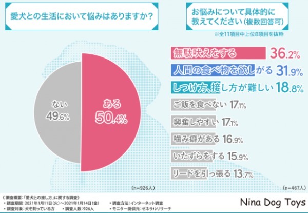 愛犬との信頼関係、どう築く？ストレスを与えないための「接し方」とは