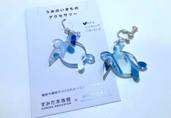 すみだ水族館で新エリア「小笠原」が追加、グッズ販売も