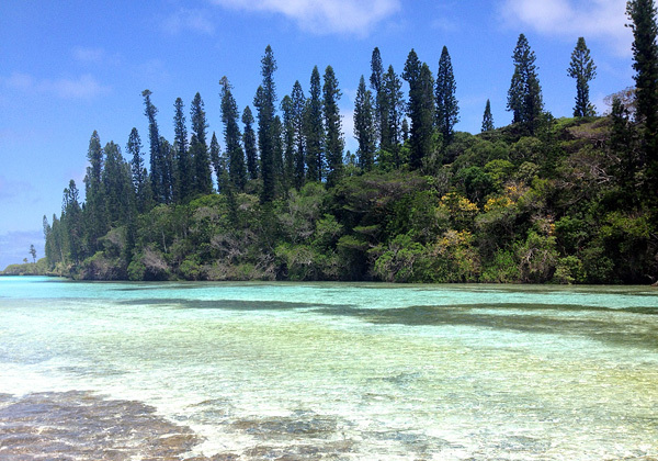 『天国にいちばん近い島』ニューカレドニアの天然プールと呼ばれる絶景ビーチで、楽園デートはいかがですか?