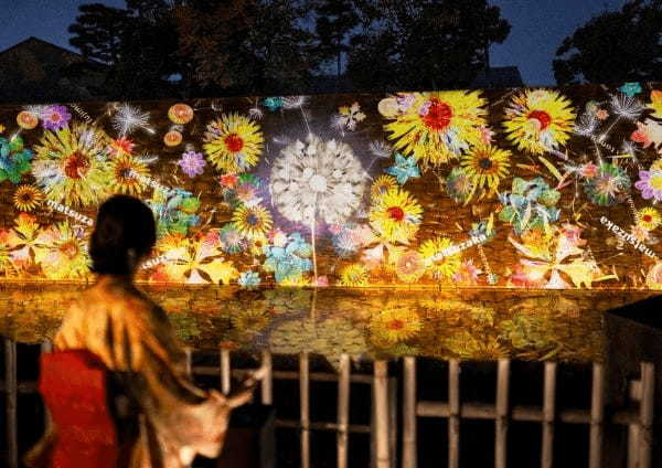 ネイキッド、体感型アート展「NAKED FLOWERS 2023 桜 世界遺産・二条城」の体験メニューなど発表