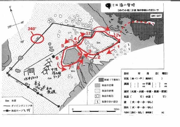 神奈川・三浦のセルフダイビングコースの見どころ -フォト派向け！ナビがしやすい海-