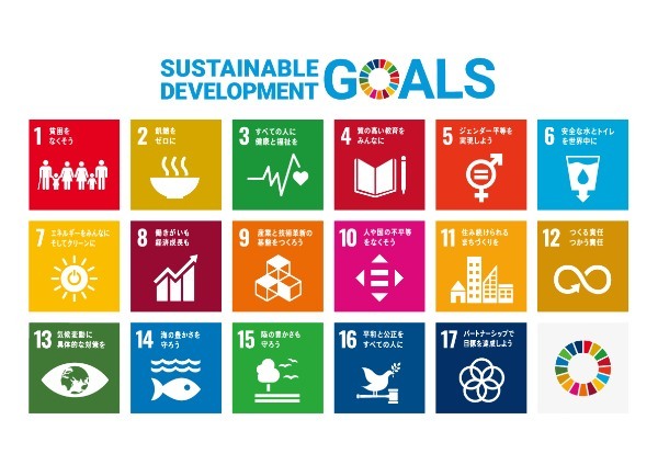 SDGsとは？ESGって何？ 国、企業の複数事例と合わせて分かりやすく解説